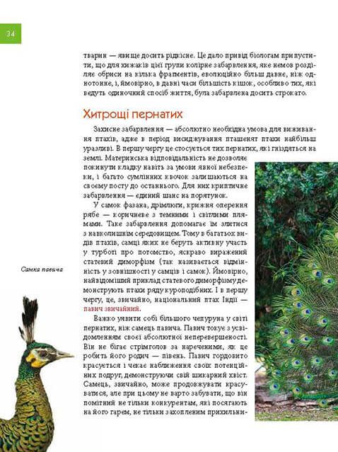 Книга Тварини - майстри маскування. Енциклопедія для допитливих. Фото 14