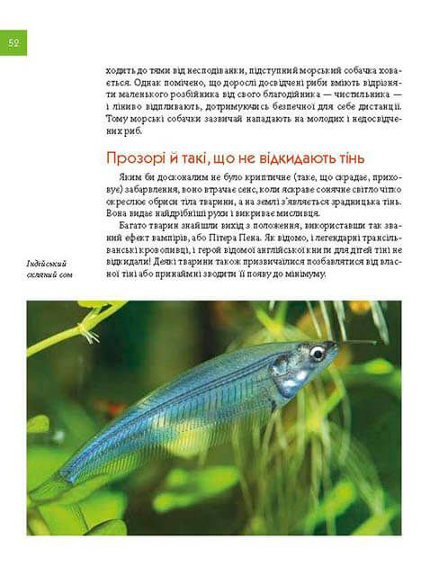 Книга Тварини - майстри маскування. Енциклопедія для допитливих. Фото 16