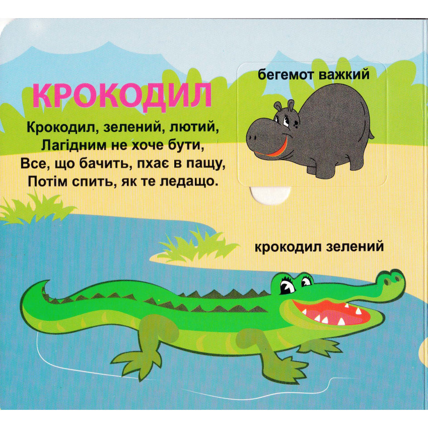 Книга 33 віконця Хто який?. Фото 4