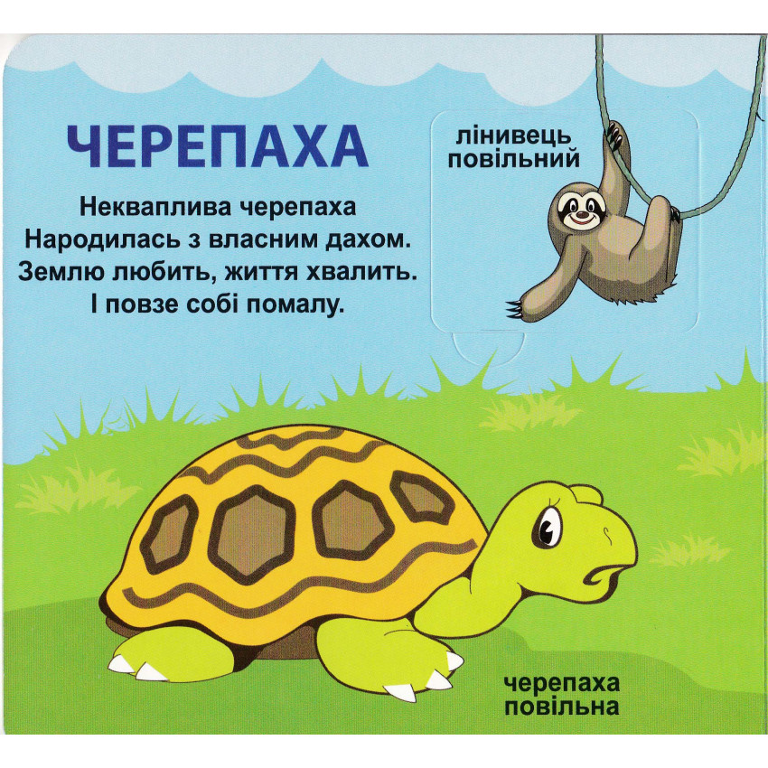 Книга 33 віконця Хто який?. Фото 6