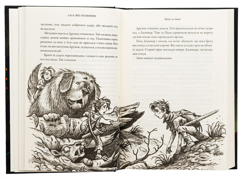 Книга Сага про Літокрилів. Книга 2. Шлях на північ - Ендрю Пітерсон. Фото 5