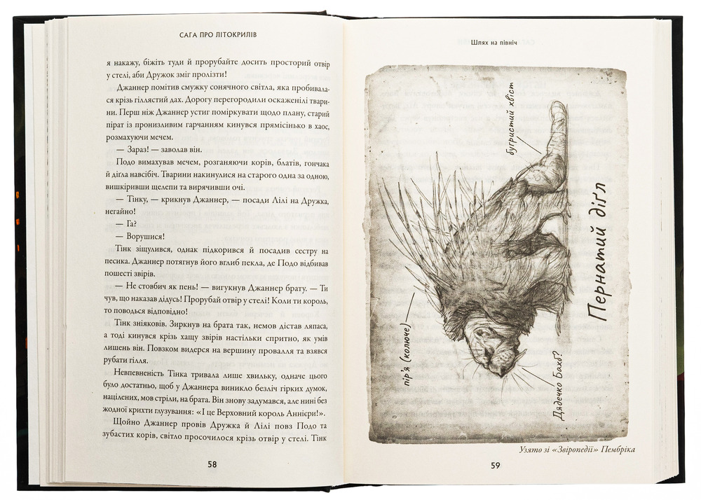 Книга Сага про Літокрилів. Книга 2. Шлях на північ - Ендрю Пітерсон. Фото 6