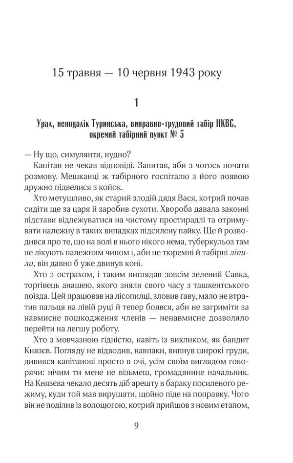 Книга Чорний ліс - Андрій Кокотюха. Фото 8