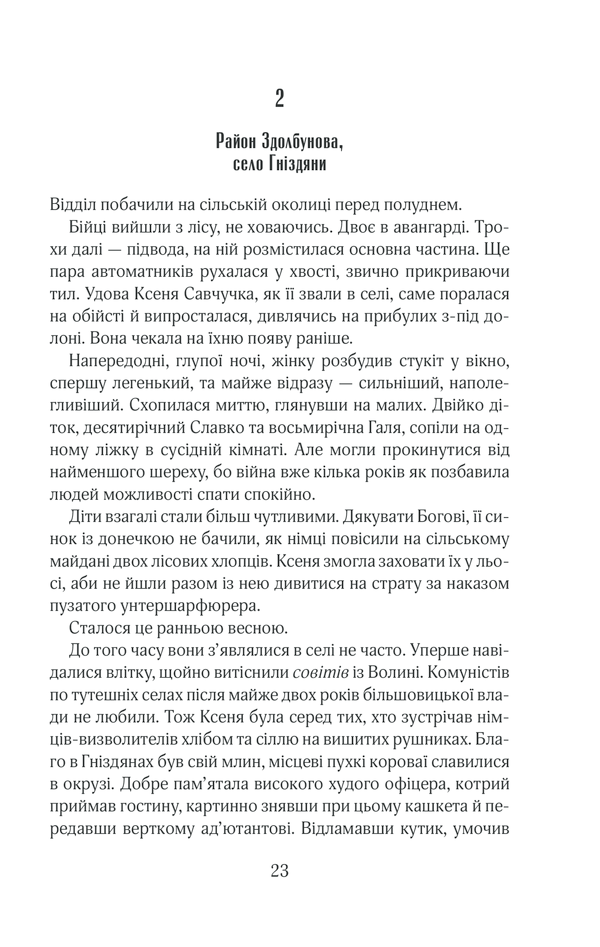 Книга Чорний ліс - Андрій Кокотюха. Фото 22