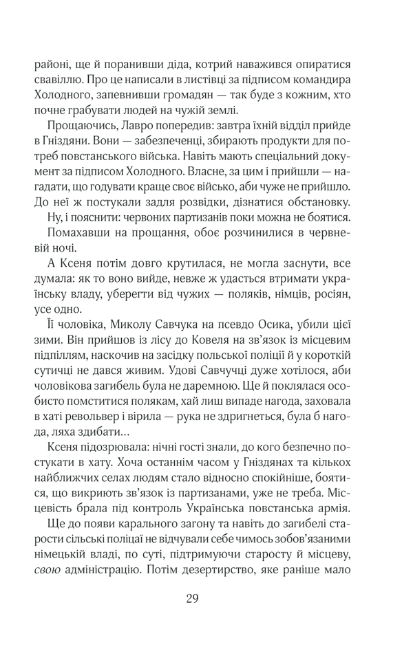 Книга Чорний ліс - Андрій Кокотюха. Фото 28