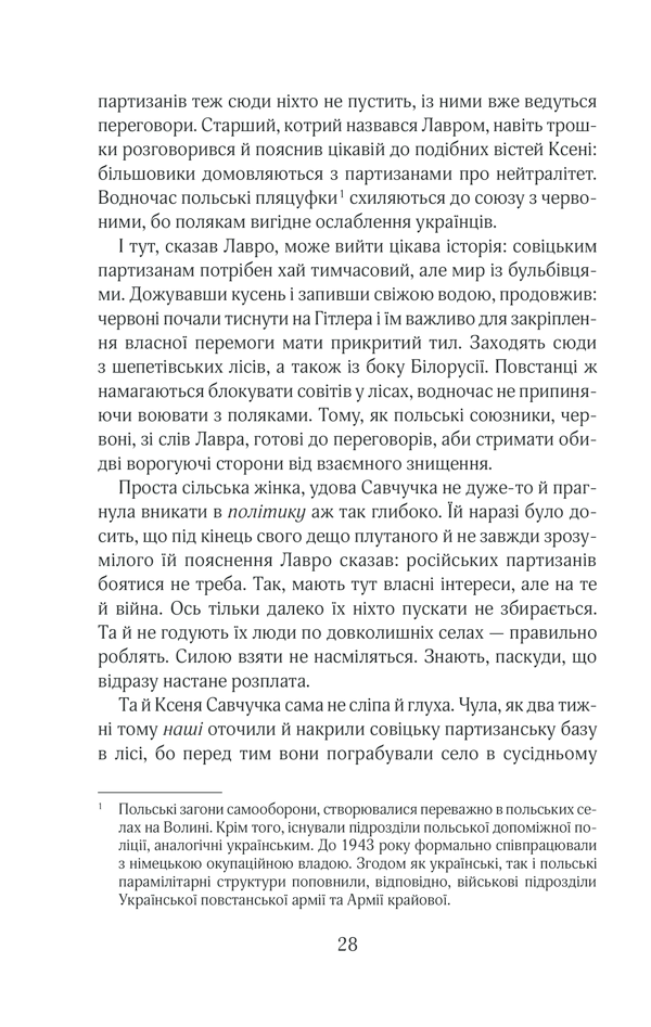 Книга Чорний ліс - Андрій Кокотюха. Фото 27