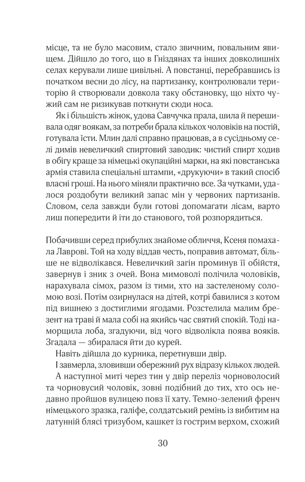 Книга Чорний ліс - Андрій Кокотюха. Фото 29
