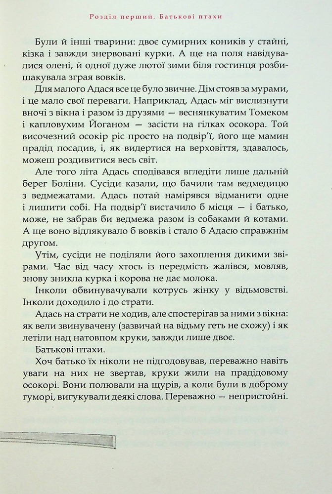 Книга Пан Малодобрий - Володимир Аренєв. Фото 9
