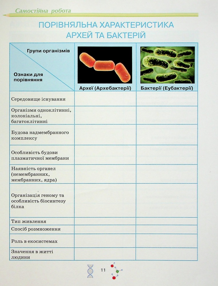 Школяр Робочий зошит з біології учня 10 класу О.А. Андерсон, М.А. Вихренко. Фото 13