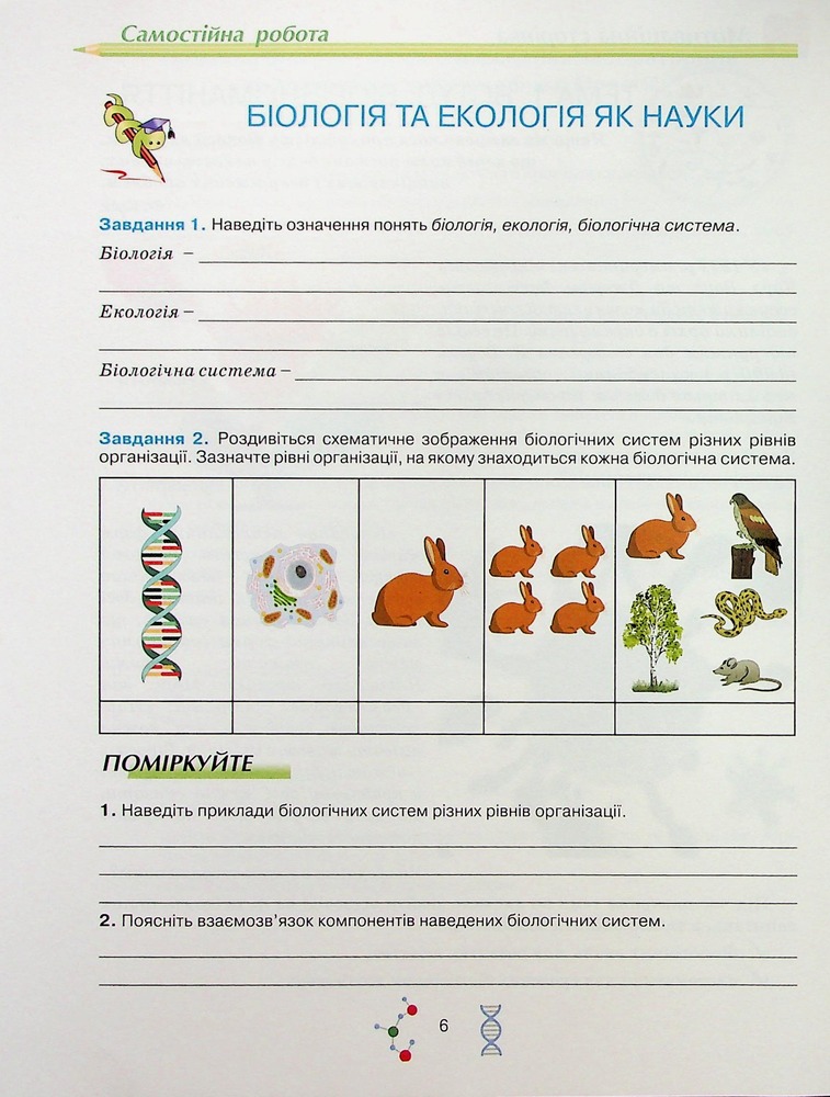 Школяр Робочий зошит з біології учня 10 класу О.А. Андерсон, М.А. Вихренко. Фото 8
