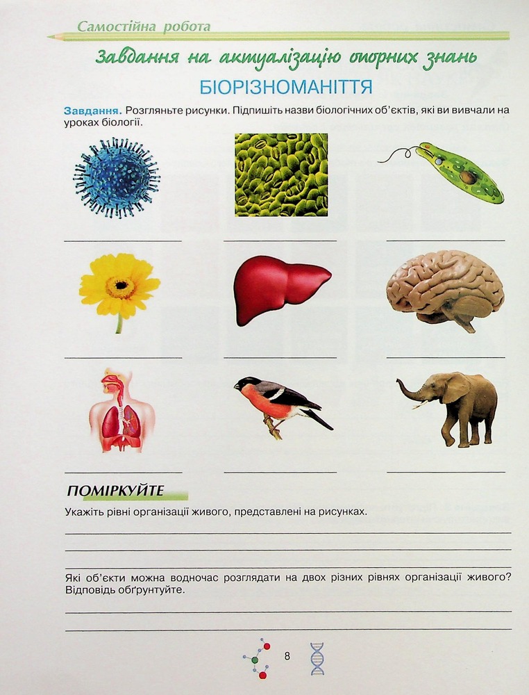 Школяр Робочий зошит з біології учня 10 класу О.А. Андерсон, М.А. Вихренко. Фото 10
