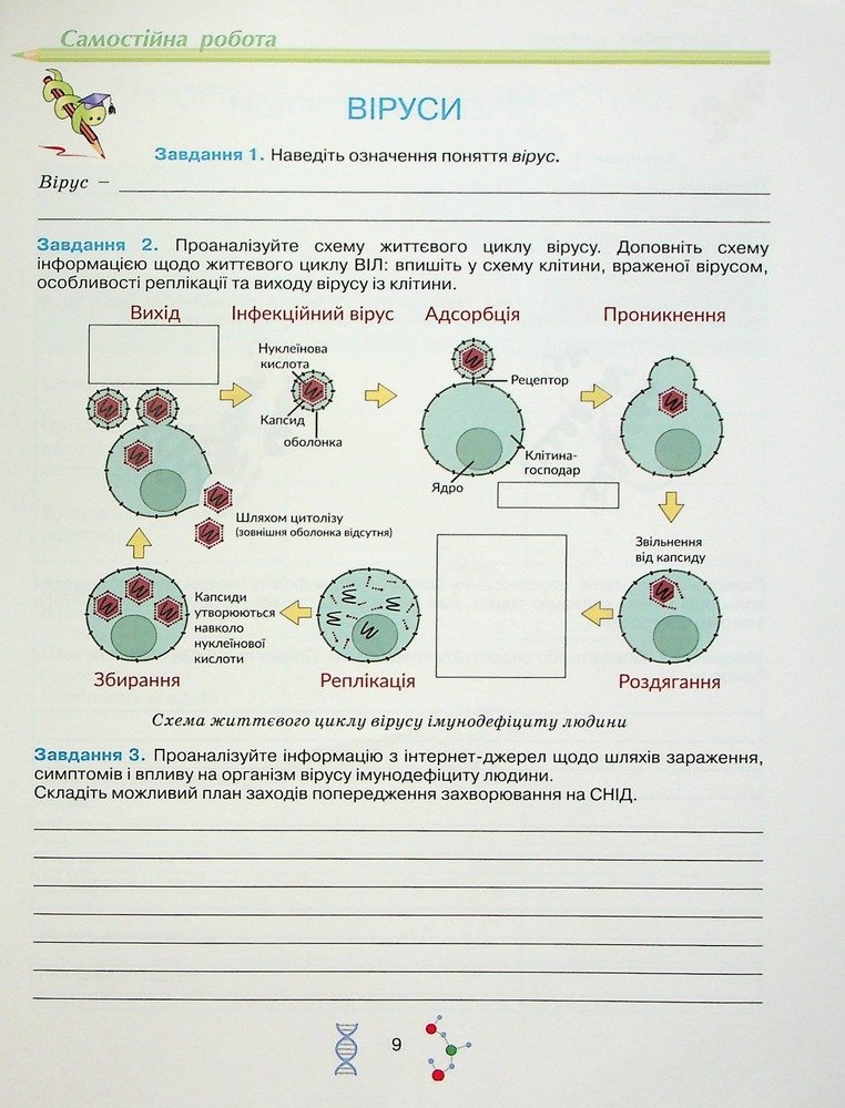 Школяр Робочий зошит з біології учня 10 класу О.А. Андерсон, М.А. Вихренко. Фото 11