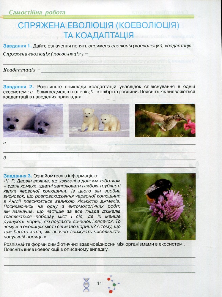 Школяр Робочий зошит з біології учня 11 класу О.А. Андерсон, М.А. Вихренко. Фото 7