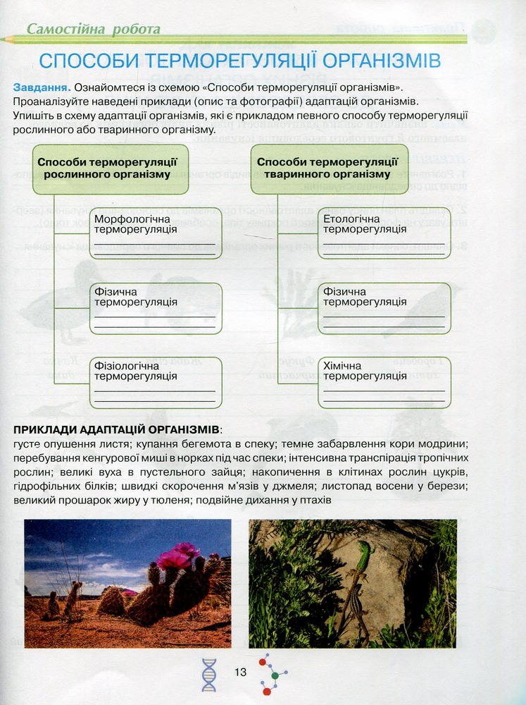Школяр Робочий зошит з біології учня 11 класу О.А. Андерсон, М.А. Вихренко. Фото 8