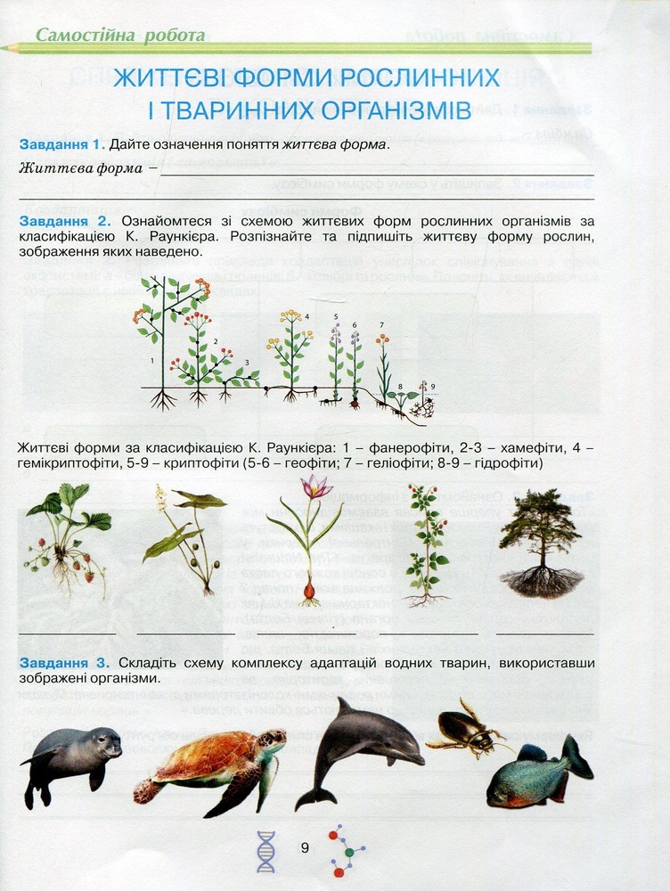 Школяр Робочий зошит з біології учня 11 класу О.А. Андерсон, М.А. Вихренко. Фото 6