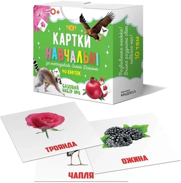 Книга Картки за методикою Глена Домана. Базовий набір №6. Фото 2