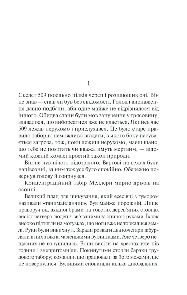 Книга Іскра життя - Еріх Марія Ремарк. Фото 5
