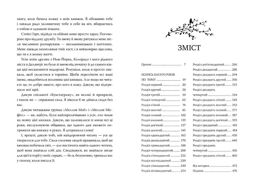 Книга Пісня вічних дощів - Е.Дж. Меллов. Фото 10