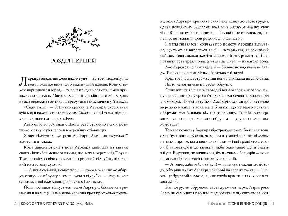 Книга Пісня вічних дощів - Е.Дж. Меллов. Фото 9