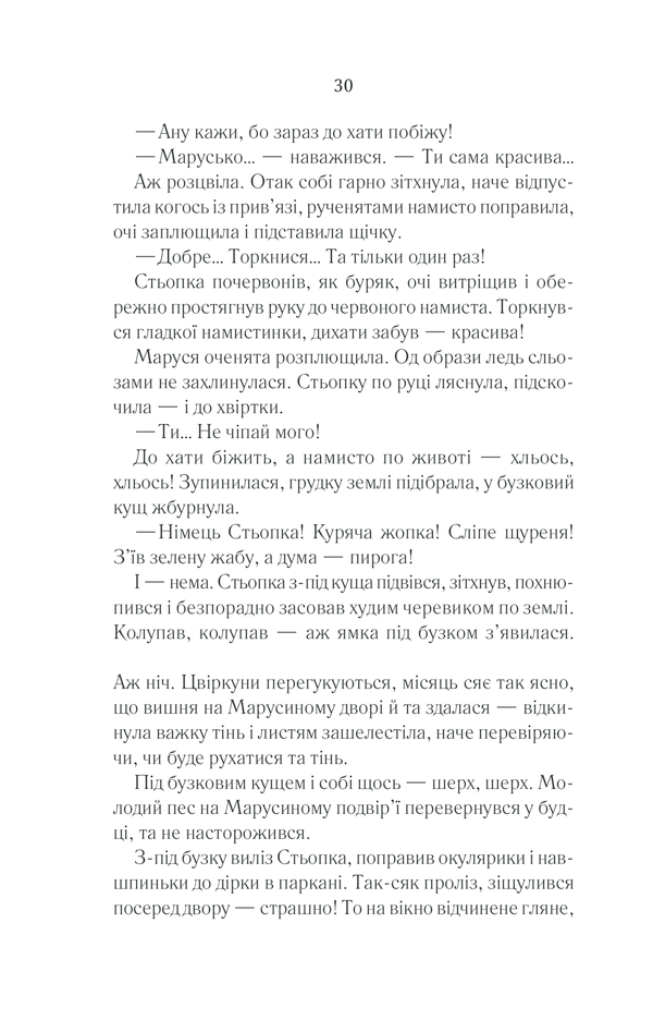 Книга Молоко з кров’ю - Люко Дашвар. Фото 29