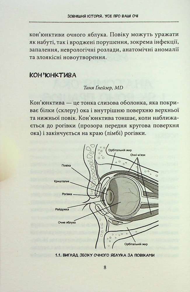Книга Зовнішня icторiя. Усе про ваші очі - Таня С. Ґлейзер, Генрі Л. Фенг, Шерон Фекрат. Фото 13
