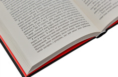 Книга Дівчина у потягу - Пола Гоукінз. Фото 6