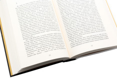 Книга Володарка Понтиди - Юрій Косач. Фото 6