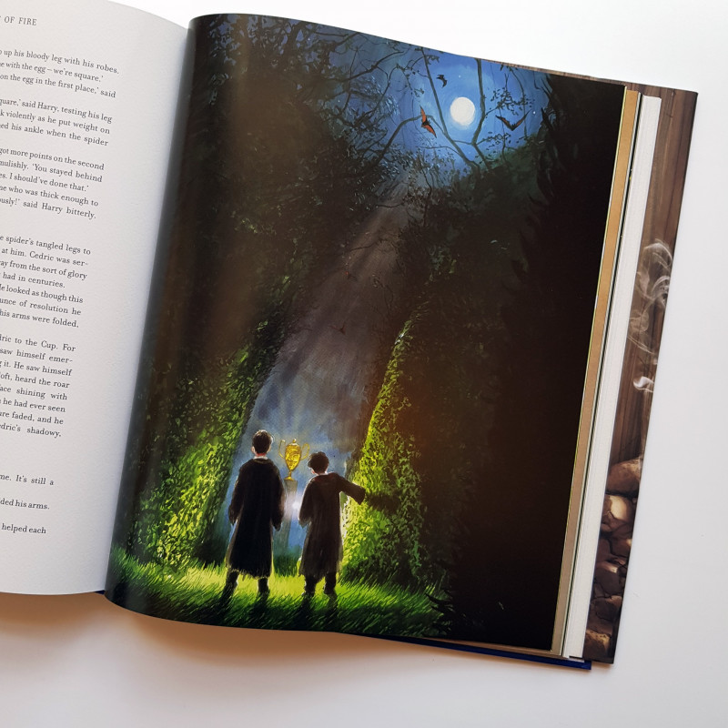 Книга Гаррі Поттер і келих Вогню. Велике ілюстроване видання - Джоан Ролінґ. Фото 5