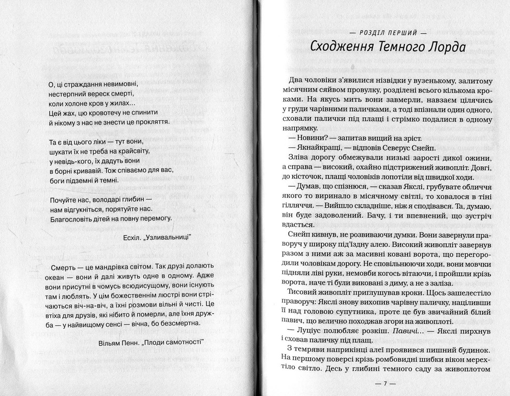 Книга Гаррі Поттер і Смертельні Реліквії - Джоан Ролінґ. Фото 8