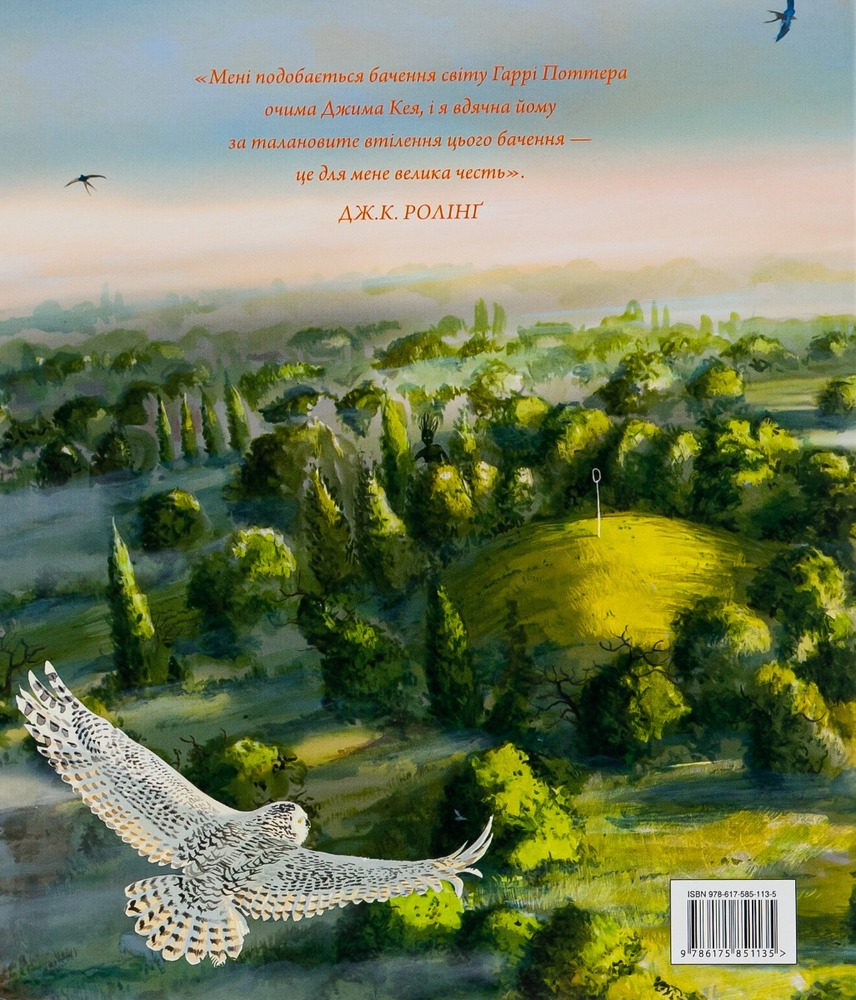 Книга Гаррі Поттер і таємна кімната. Велике ілюстроване видання - Джоан Ролінґ. Фото 3