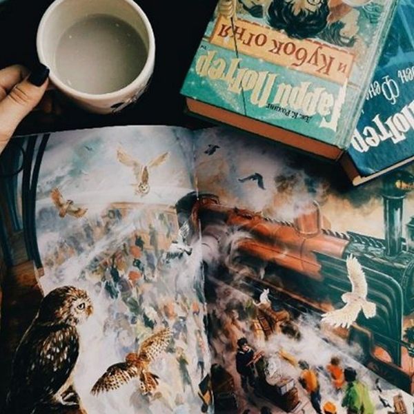 Книга Гаррі Поттер і філософський камінь. Велике ілюстроване видання - Джоан Ролінґ. Фото 2
