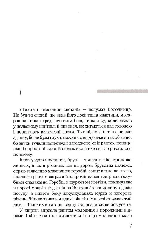 Книга Дім на горі - Валерій Шевчук. Фото 4