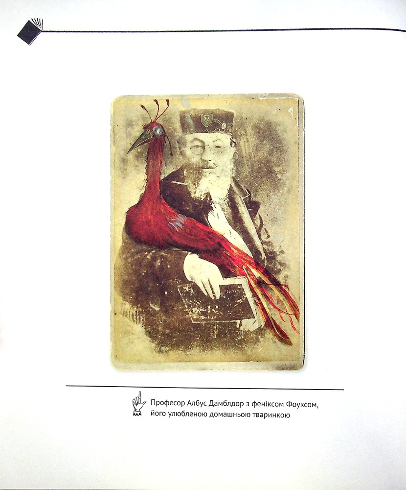 Книга Квідич крізь віки. Велике ілюстроване видання - Джоан Ролінґ. Фото 5