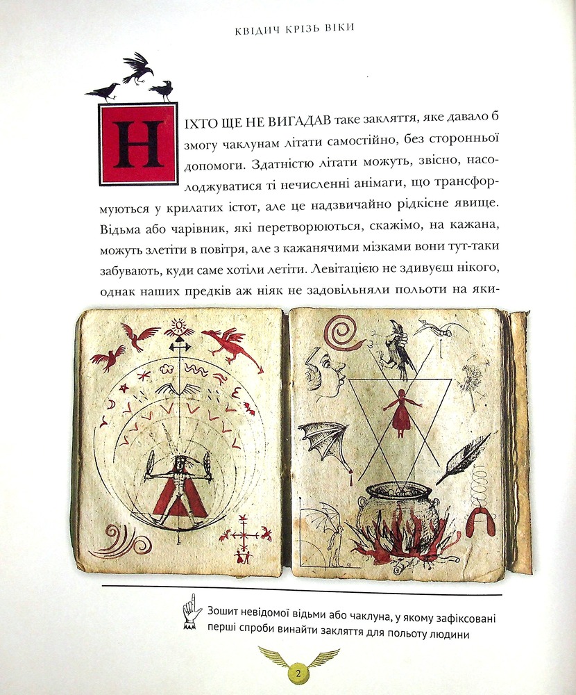Книга Квідич крізь віки. Велике ілюстроване видання - Джоан Ролінґ. Фото 10