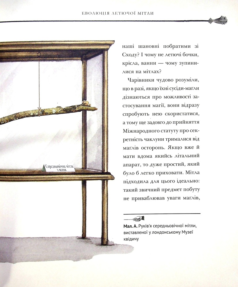 Книга Квідич крізь віки. Велике ілюстроване видання - Джоан Ролінґ. Фото 13