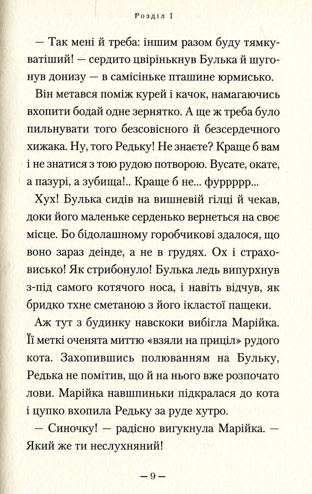 Книга Мері - Сашко Дерманський. Фото 9