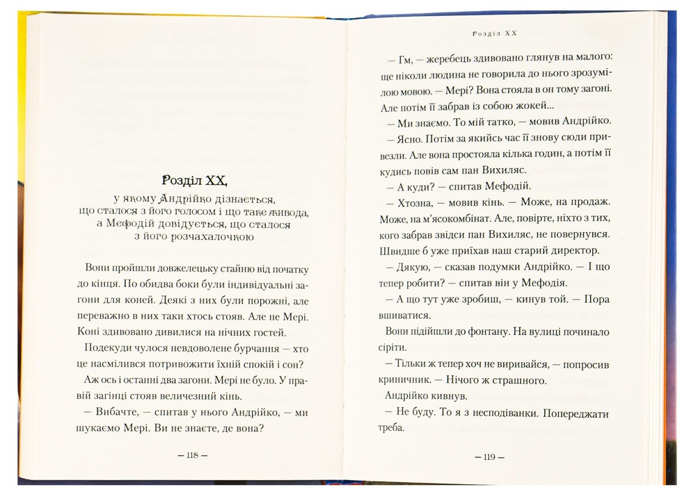 Книга Мері - Сашко Дерманський. Фото 6