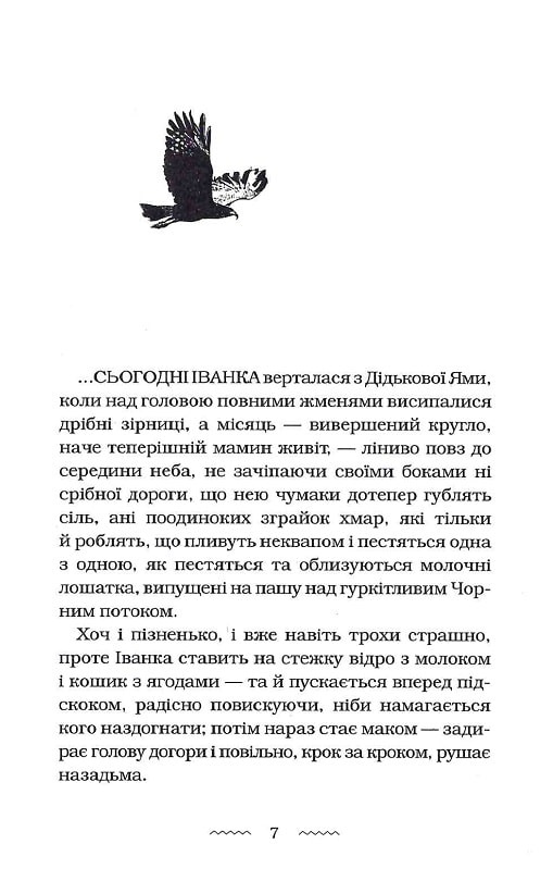 Книга Черевички Божої матері - Марія Матіос. Фото 5