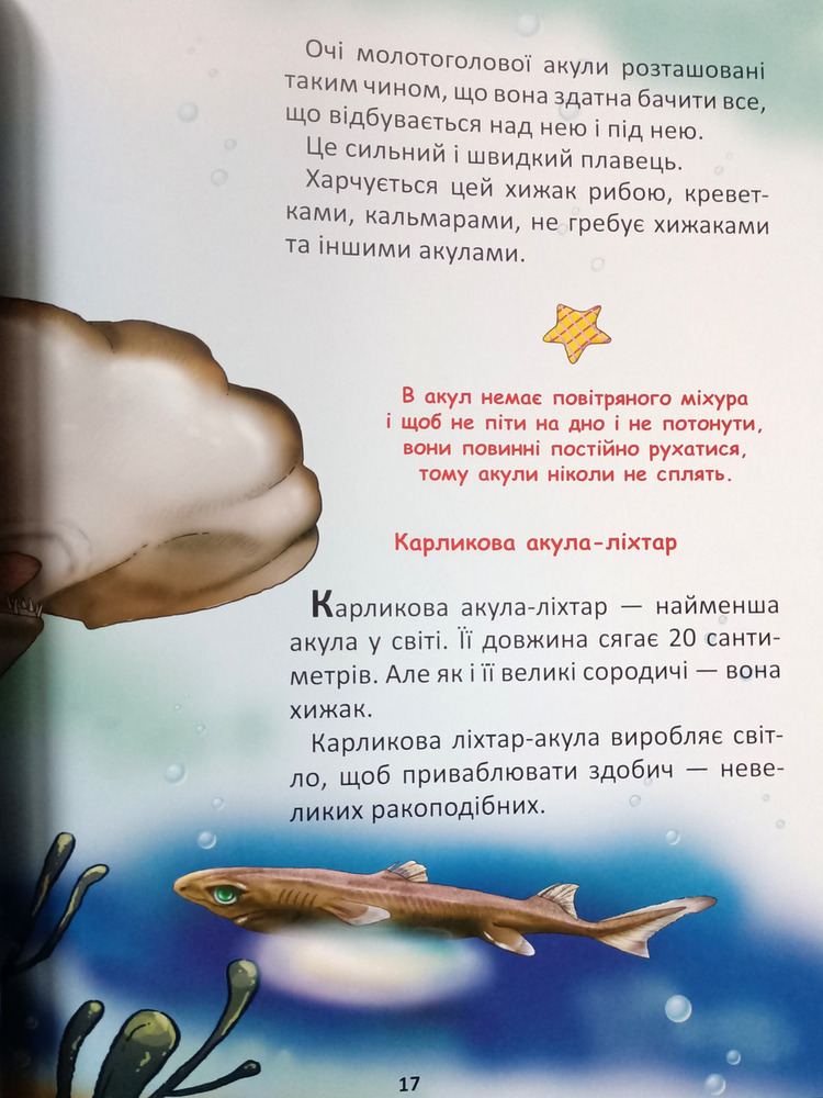 Книга Підводний світ (подарунковий випуск). Фото 2