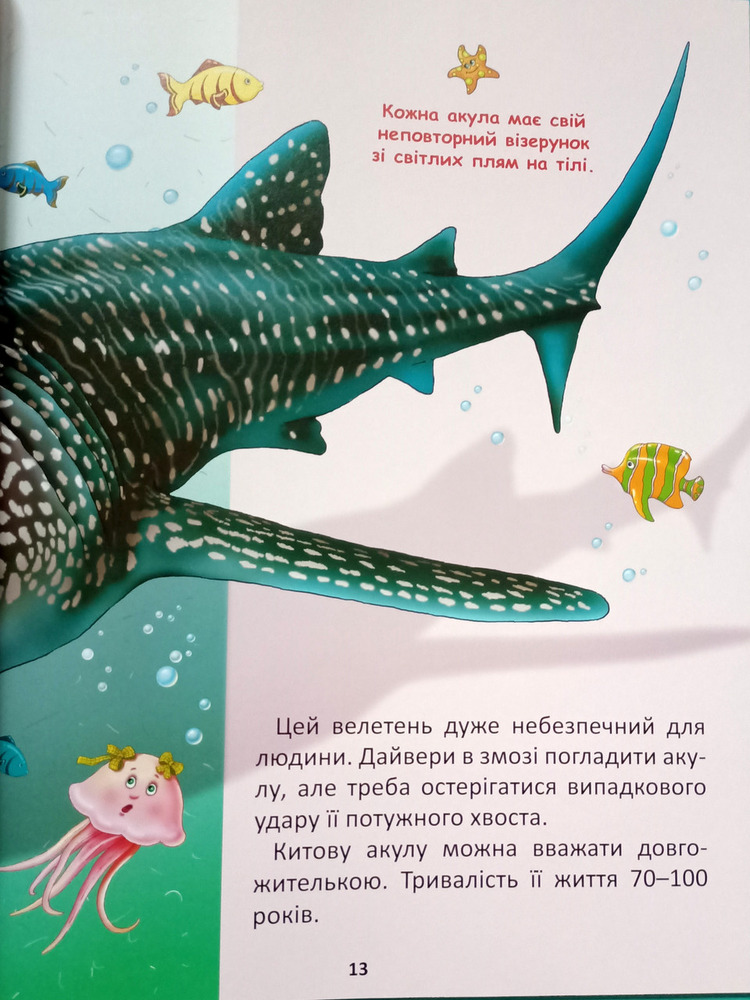Книга Підводний світ (подарунковий випуск). Фото 3
