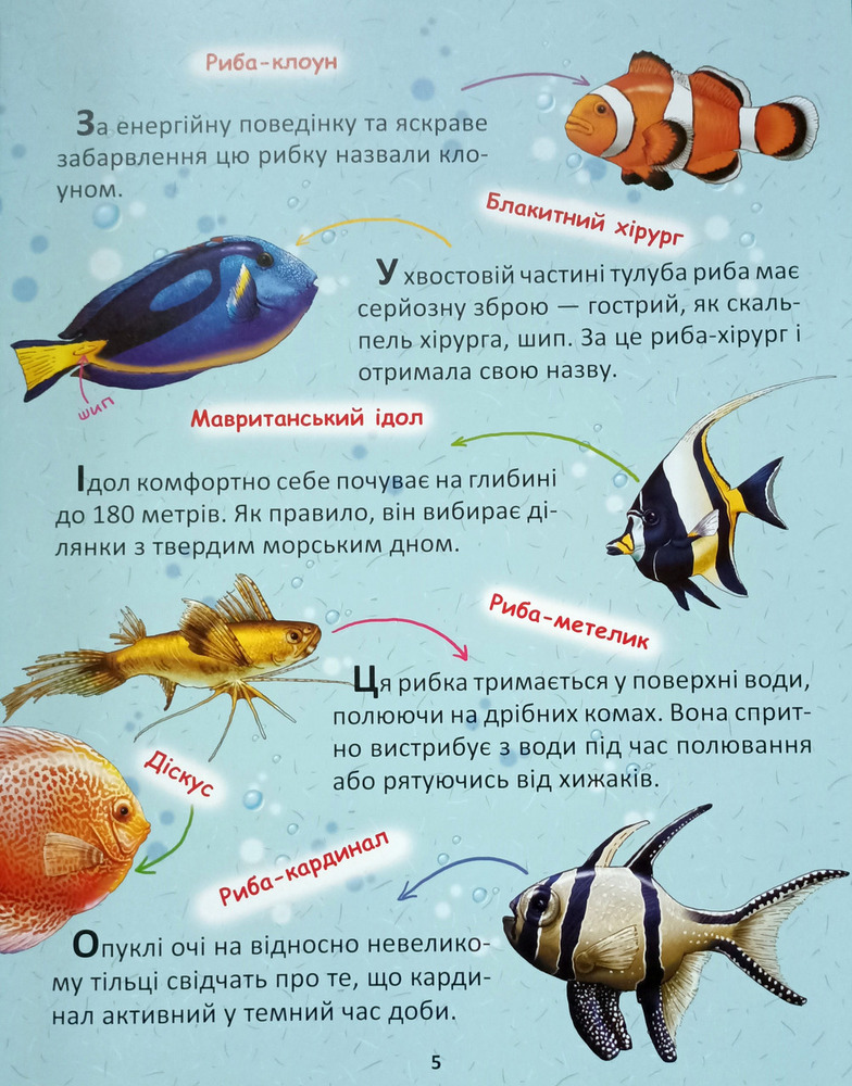 Книга Підводний світ (подарунковий випуск). Фото 4