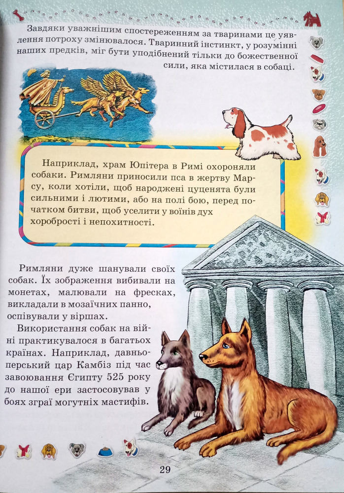 Книга Домашні улюбленці. Фото 9