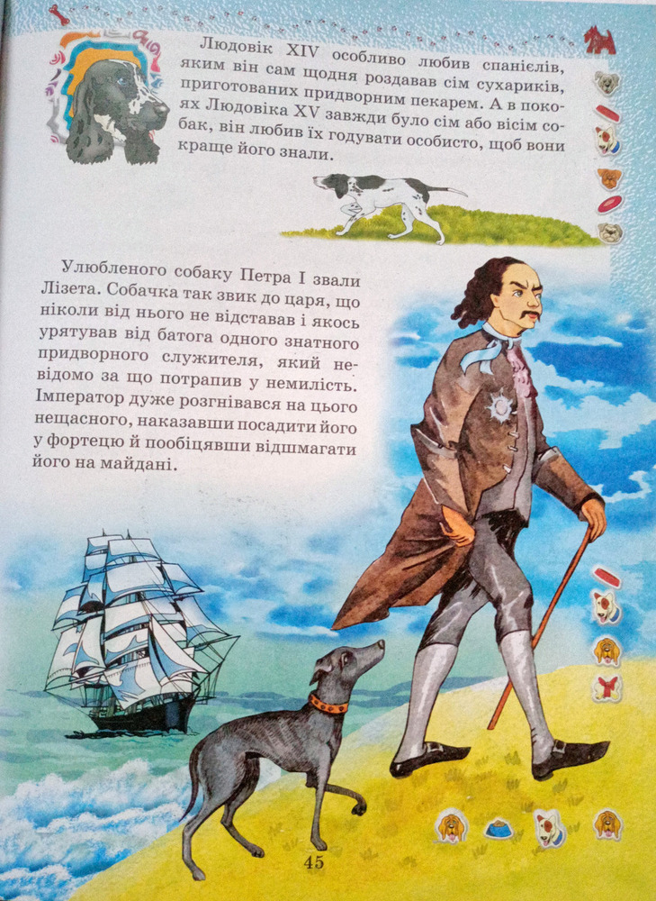 Книга Домашні улюбленці. Фото 7