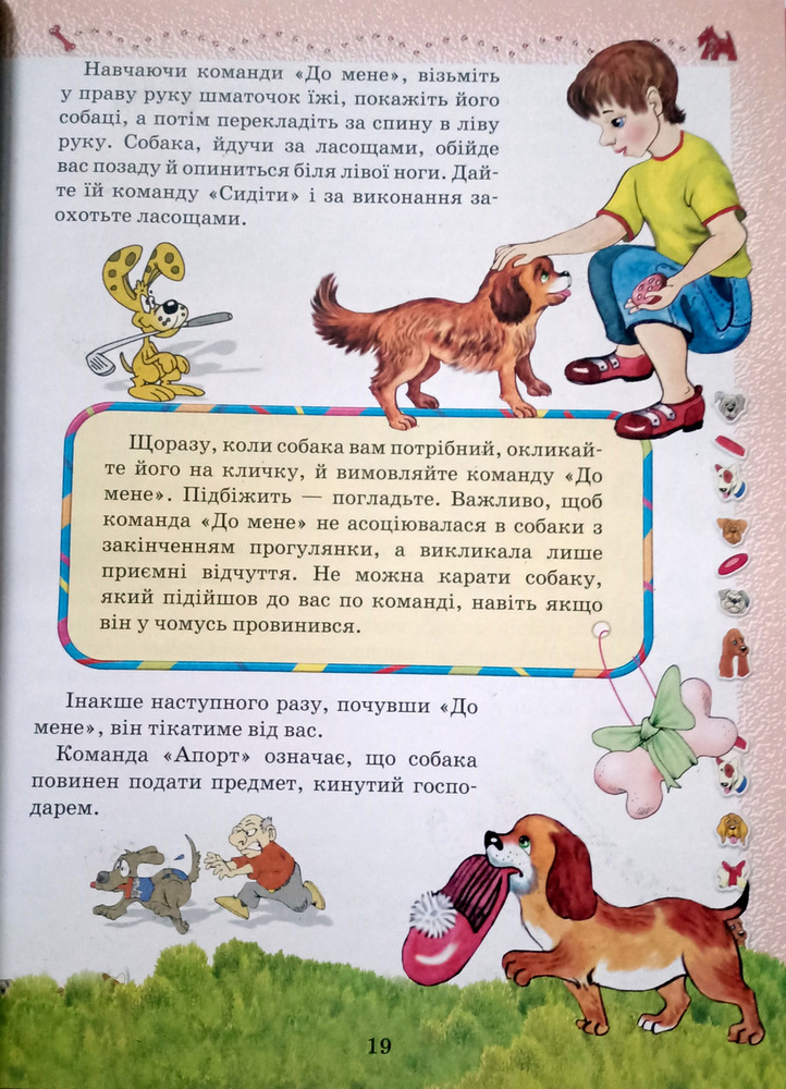 Книга Домашні улюбленці. Фото 3