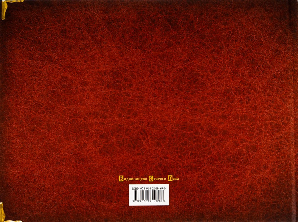 Книга Книга мого роду. Родинне дерево (бордова) - Ірина Мацко. Фото 2
