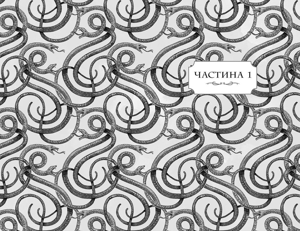 Книга Школа добра і зла. У пошуках слави. Книга 4 - Соман Чайнані. Фото 6