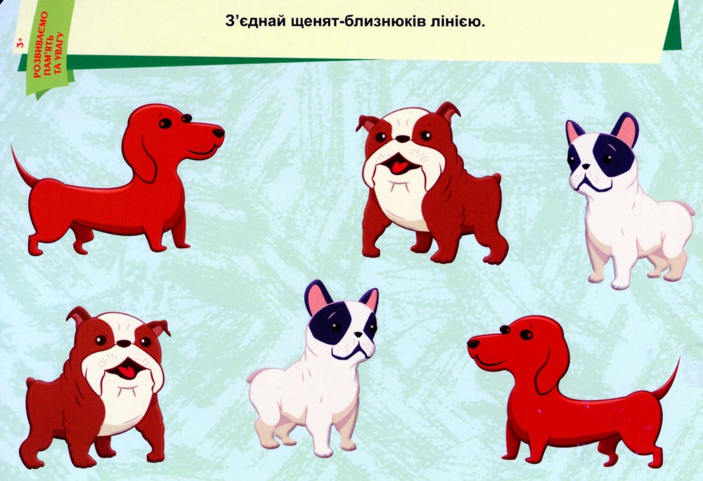 Книга Пиши. Стирай. Вивчай. Розвиваємо пам'ять та увагу. 3+. Фото 8