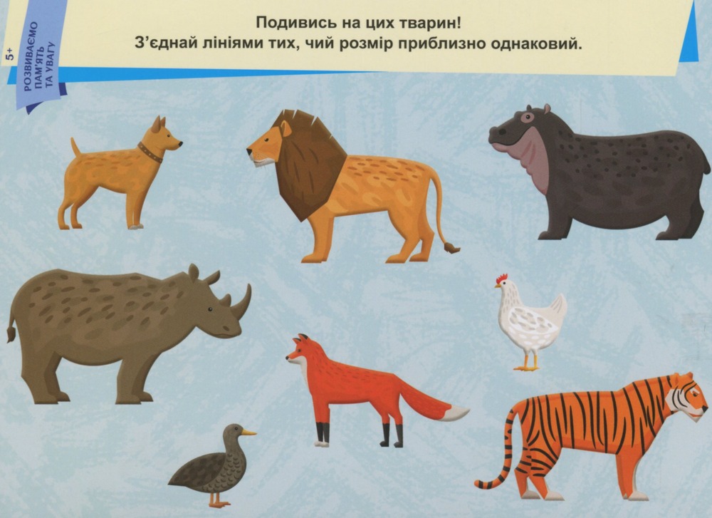 Книга Пиши. Стирай. Вивчай. Розвиваємо пам'ять та увагу. 5+. Фото 10