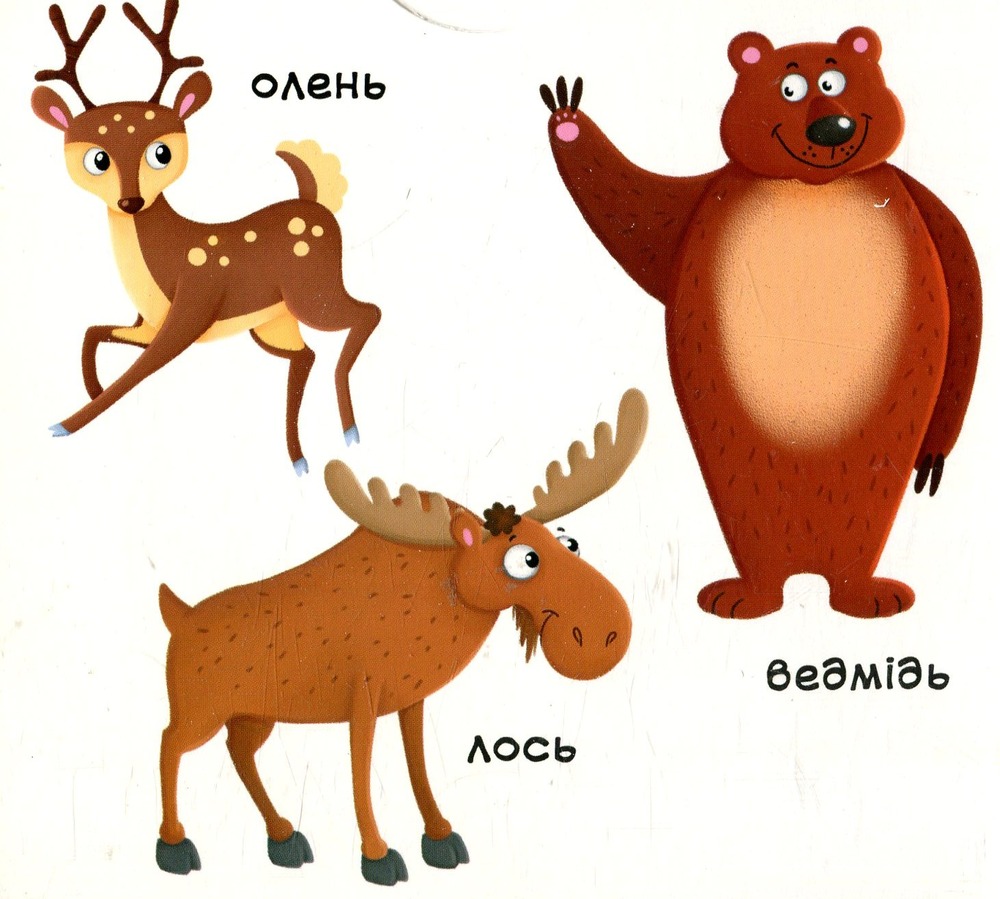 Книжка з механізмом. Перша книжка з рухомими елементами. Лісові тварини. Дізнайся, грай, крути, штовхай. Фото 4
