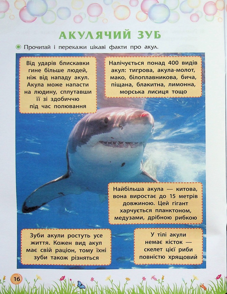 Книга Секрети знань. Зустрічай 3 клас (+ 80 наліпок, + 2 проєктні роботи) - Тетяна Квартник, Олена Шаповал. Фото 18